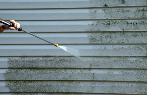 Local Pressure Washing Services in Burnt Mills, MD